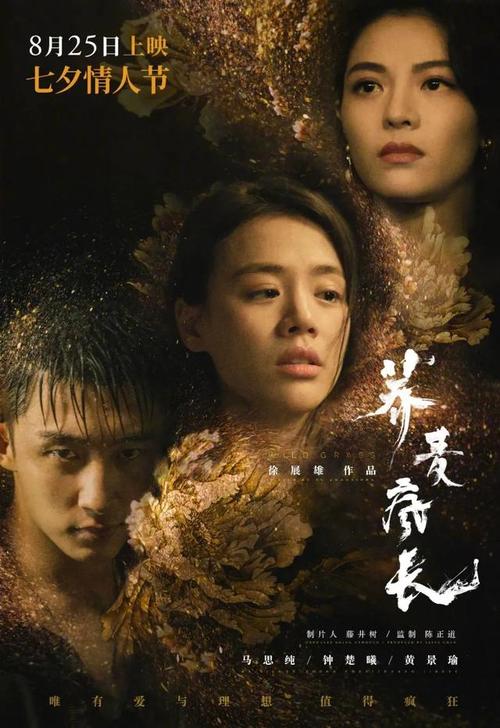 巴黎东部马恩-拉瓦雷大学学历认证办理
